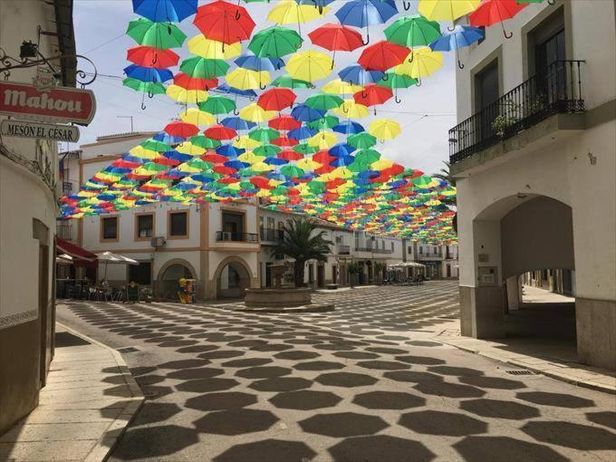 Hotel Rural Villa Matilde มัลปาร์ติดา เด กาเซเรส ภายนอก รูปภาพ